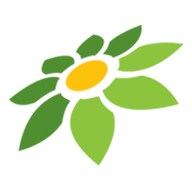 LINK METASLOT